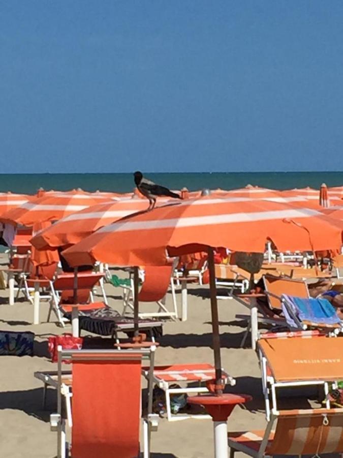 Tortoreto Verde Mare "Appartamenti Per Vacanze" מראה חיצוני תמונה