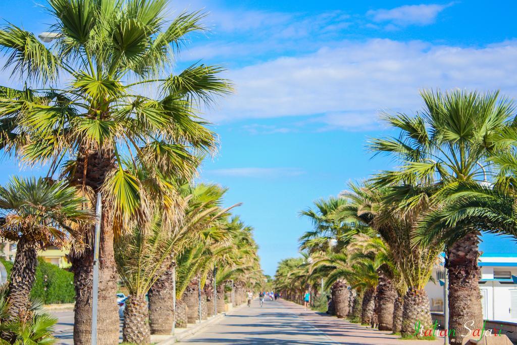 Tortoreto Verde Mare "Appartamenti Per Vacanze" מראה חיצוני תמונה