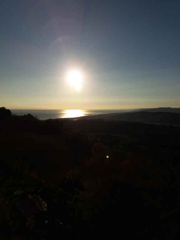 Tortoreto Verde Mare "Appartamenti Per Vacanze" מראה חיצוני תמונה